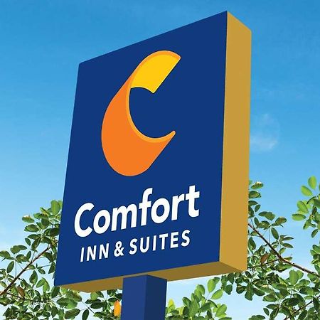 Comfort Inn & Suites Newark Liberty International Airport Eksteriør billede